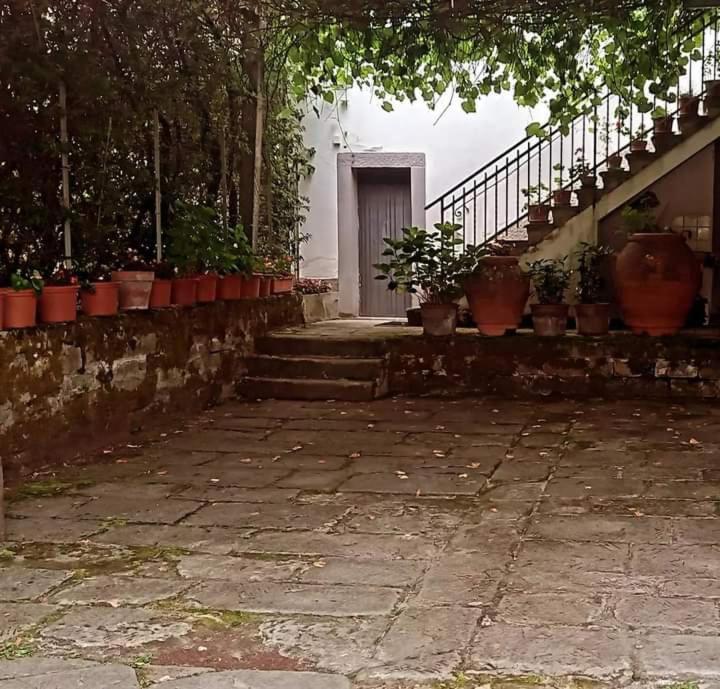 Albergo Del Ponte 圣皮耶罗-因巴尼奥 外观 照片